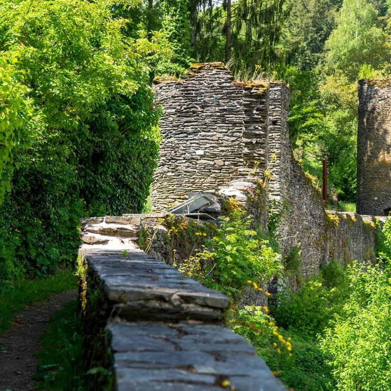 Wandern & Radfahren - Aktivitäten